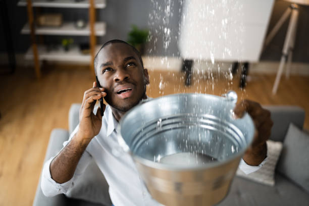 Best Water damage cleanup near me  in Kaloko, HI
