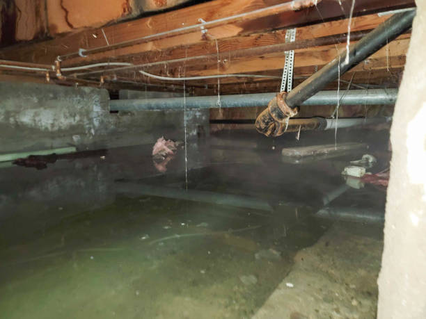Water damage restoration process in HI