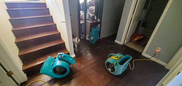 Best Water damage restoration mold remediation  in Kaloko, HI