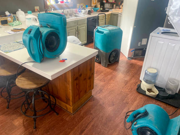 Best 24/7 water damage repair  in Kaloko, HI