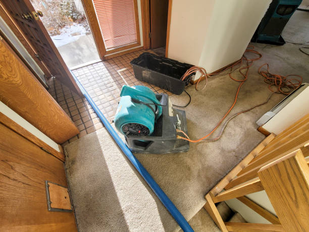 Best Residential water damage restoration  in Kaloko, HI