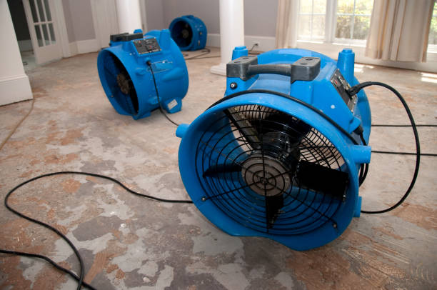 Best Professional water damage repair  in Kaloko, HI
