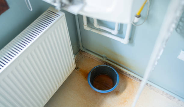 Best Local water damage restoration  in Kaloko, HI