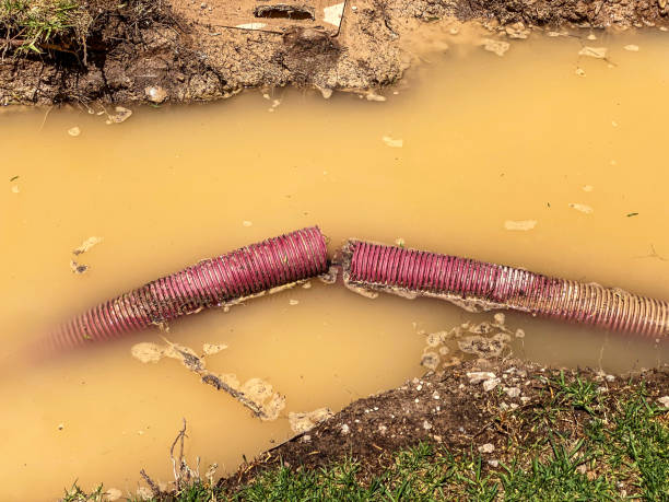 Reliable HI Water damage restoration Solutions