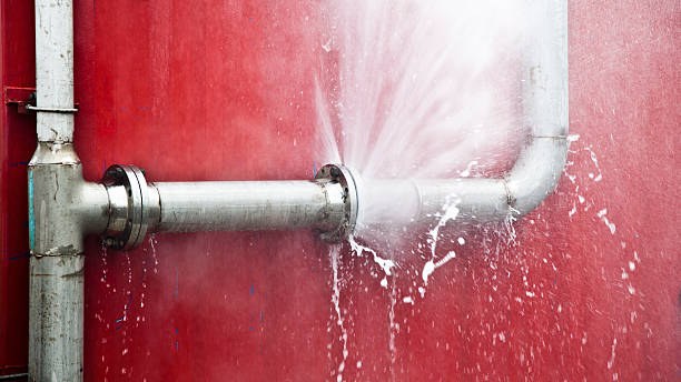 Best Carpet water damage restoration  in Kaloko, HI